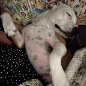 Meet your Posher, Student